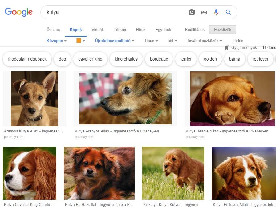 Hogy találjak meg valamit a Google-ben? 12 profi keresőtrükk!