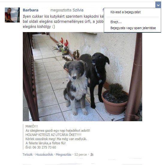 Idegesítenek bizonyos ismerőseid  Facebook posztjai, de törölni nem akarod őket? Megmutatjuk, mit tehetsz!  Idegesítenek bizonyos ismerőseid  Facebook posztjai, de törölni nem akarod őket? Megmutatjuk, mit tehetsz!
