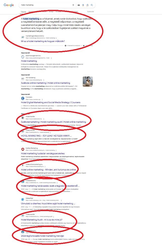 Google Ads or SEO? Which One is Worth Using in 2025? Google Ads or SEO? Which One is Worth Using in 2025?