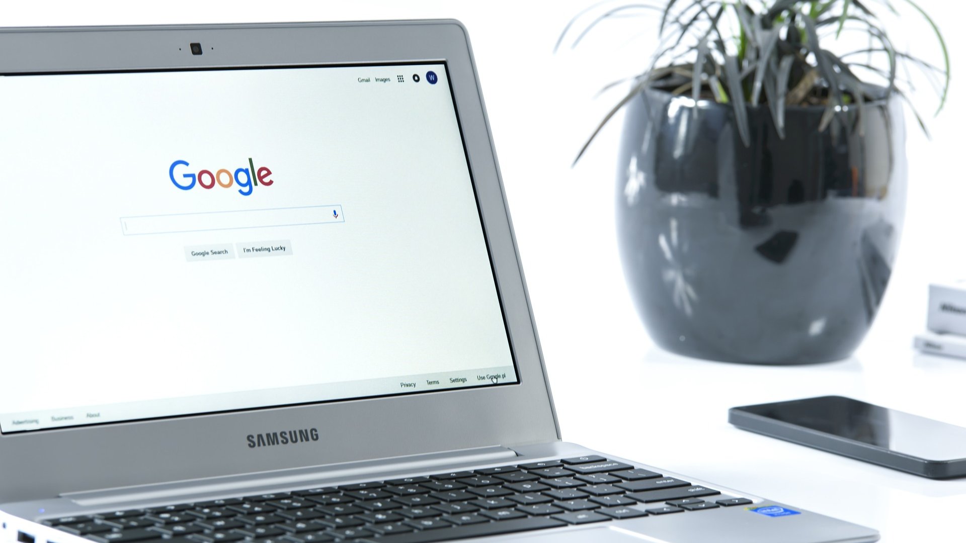 webp képek indexelése webp képek indexelése