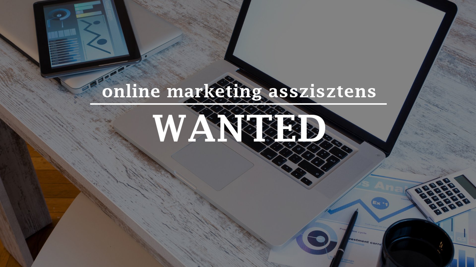 Online marketing asszisztens állásajánlat Online marketing asszisztens állás