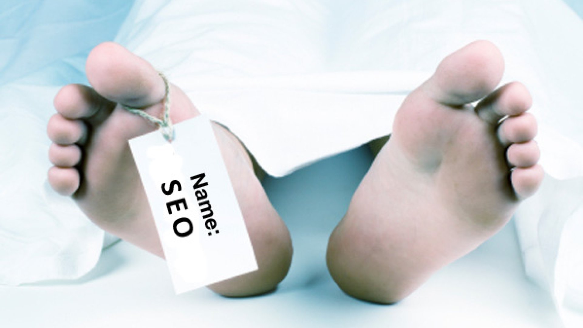 Most akkor valóban meghalt a keresőoptimalizálás? SEO trendek 2014!