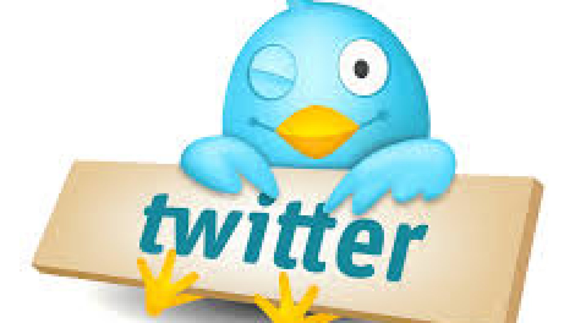 Magyarországon egyes közösségi hálózatokhoz hasonlóan még a Twitter sem túl elterjedt. Kevesen látják gyakorlati hasznát, és úgy A Twitter használata a közösségi média marketing területén