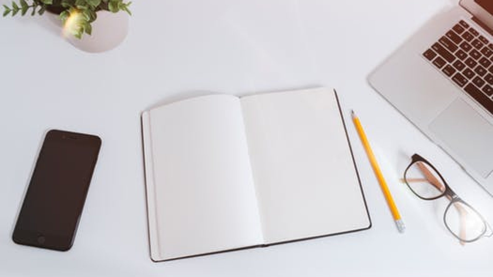 Domain név Domain név