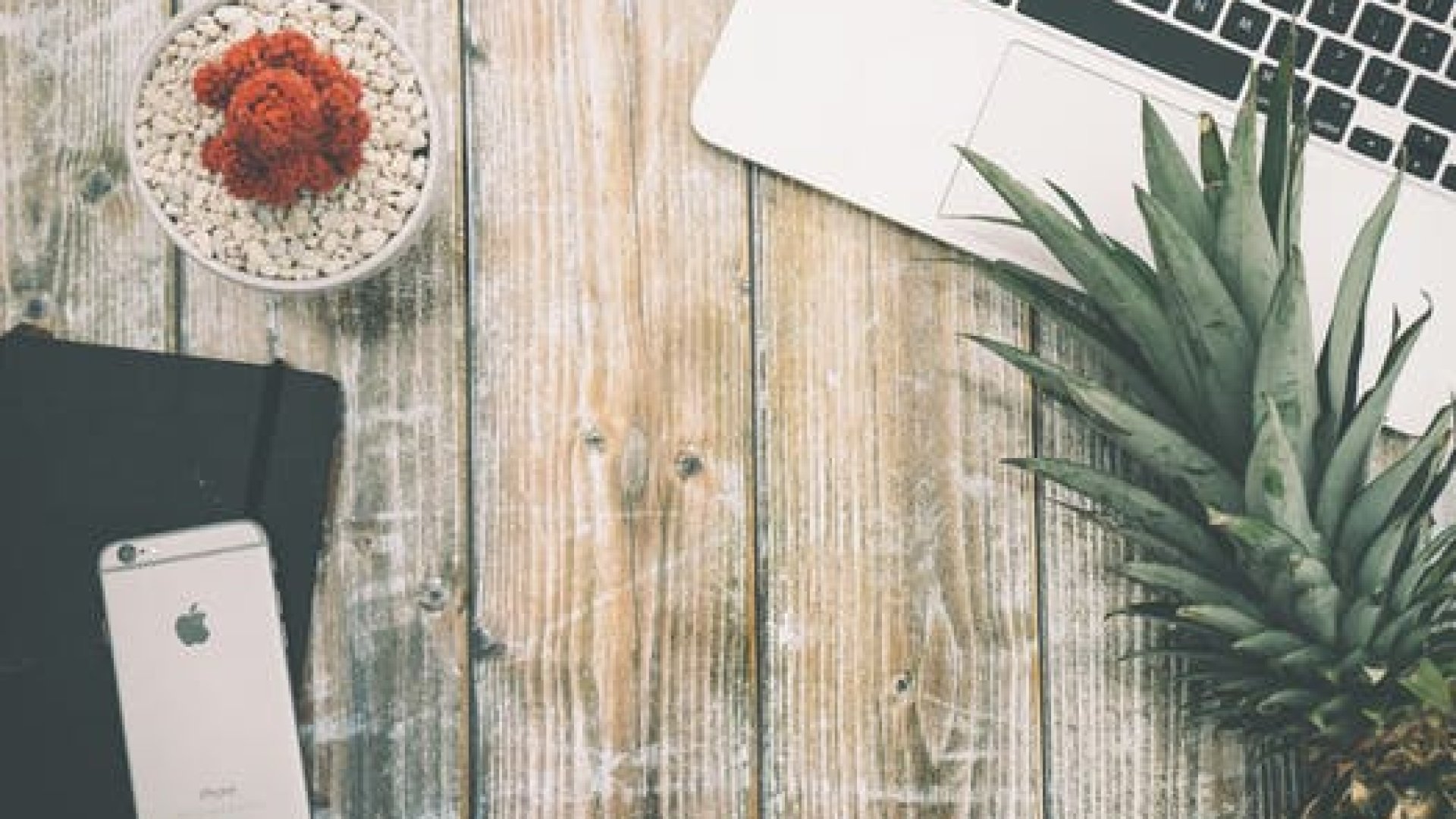 Ismeretségi hálózat