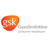 SEO, honlapkészítés és marketing tanácsadás a GSK több brandjére.